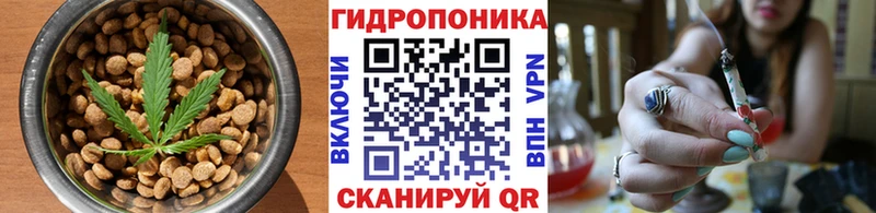 купить  цена  MEGA ТОР  Cannafood конопля  Шахты 
