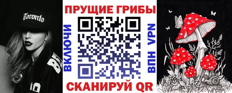Галлюциногенные грибы ЛСД  сайты даркнета клад  Шахты  наркотики 