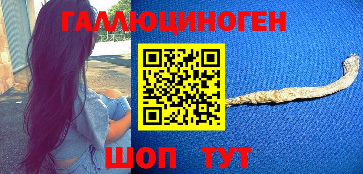 Галлюциногенные грибы GOLDEN TEACHER  Вход с VPN  Шахты 